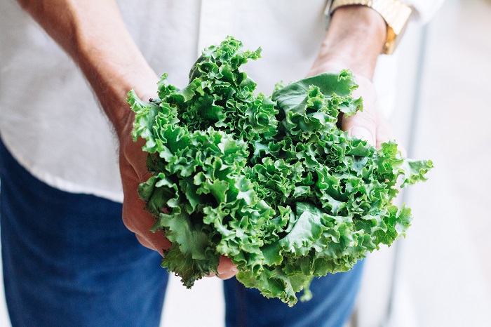 person holding bunch of kale